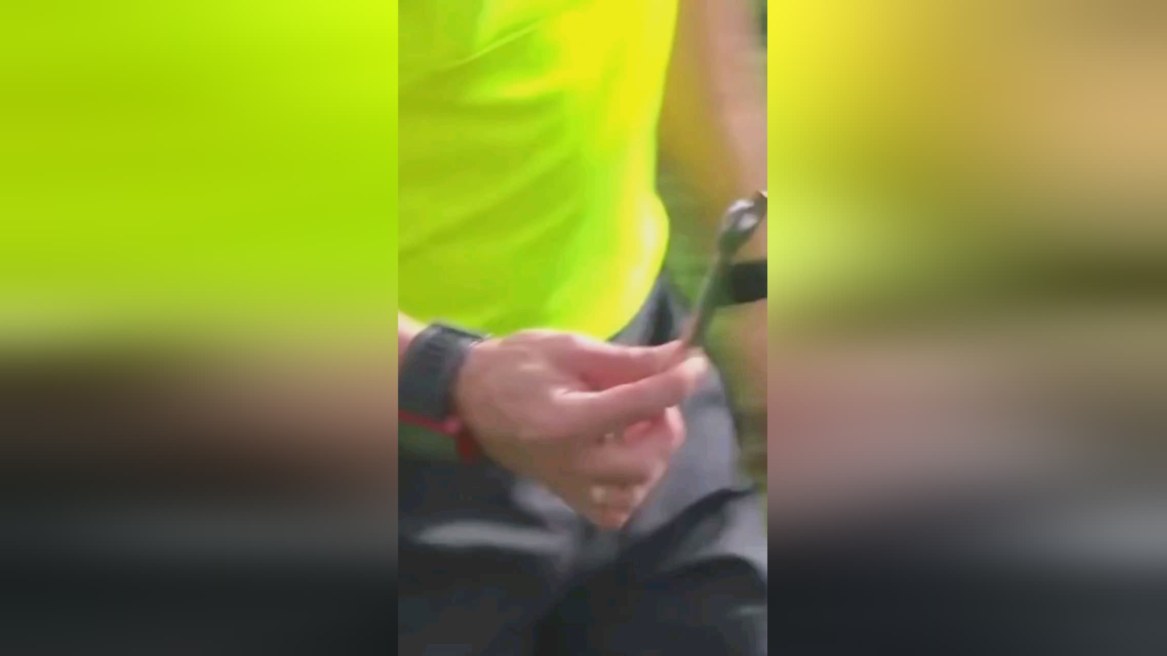 能够